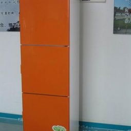 智能電子鞋柜 功能、代理、批發與廠家全解析